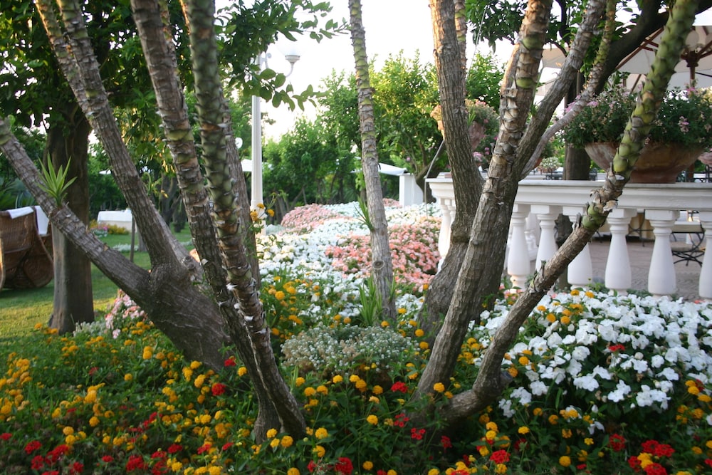 La Medusa Hotel & Boutique Spa 42/50