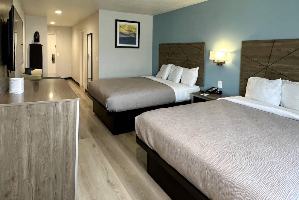 Efficiency, Suite, 2 Queen Beds