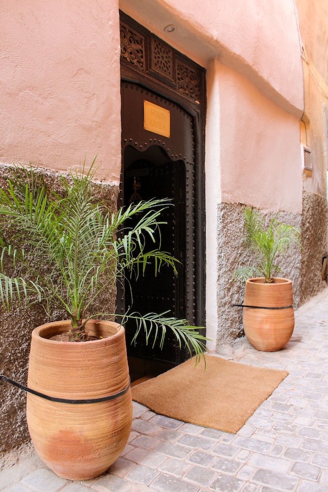 Riad Amra 2/34