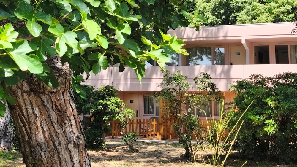 Hollywood Hotel Cannes 7/41