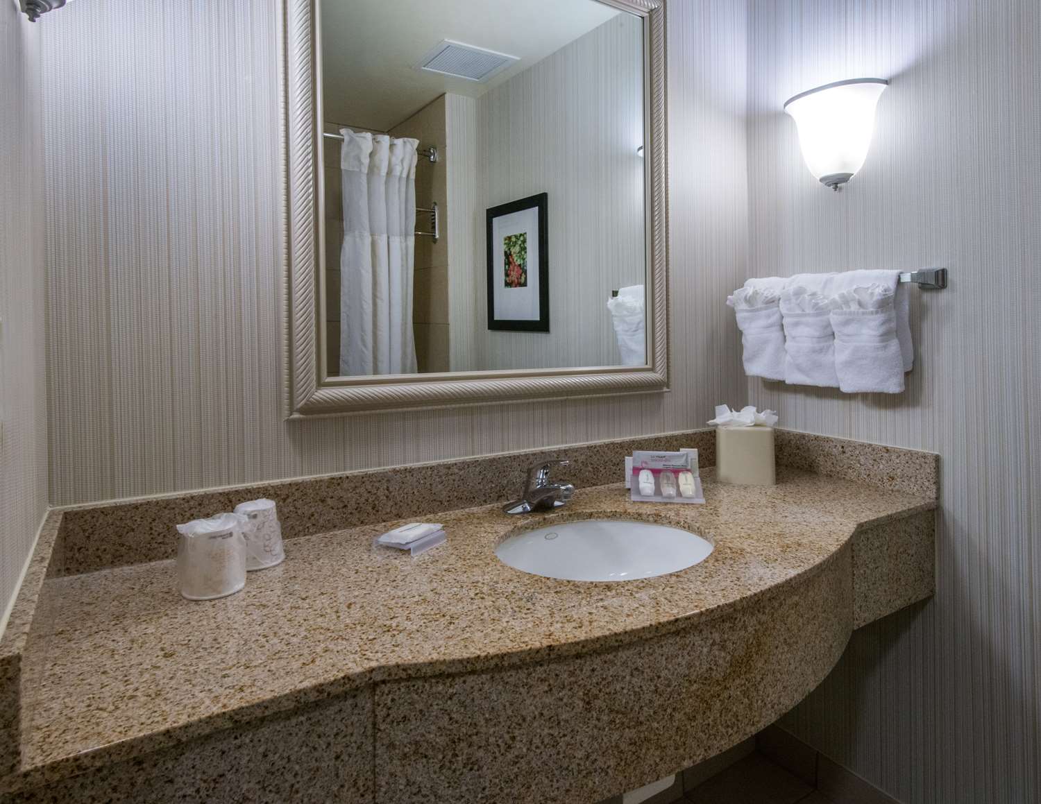 Hilton Garden Inn Tallahassee Central image