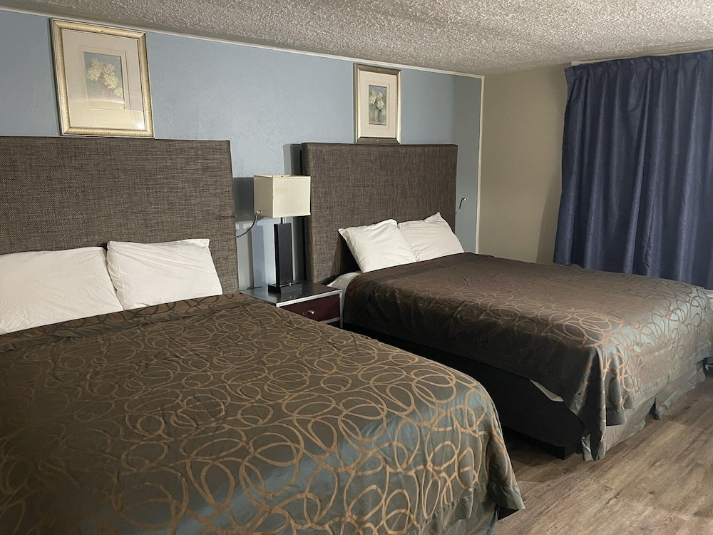 Safari Motel 20/55