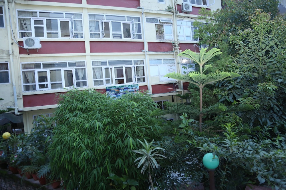 Hotel Holy Temple Tree 5/50