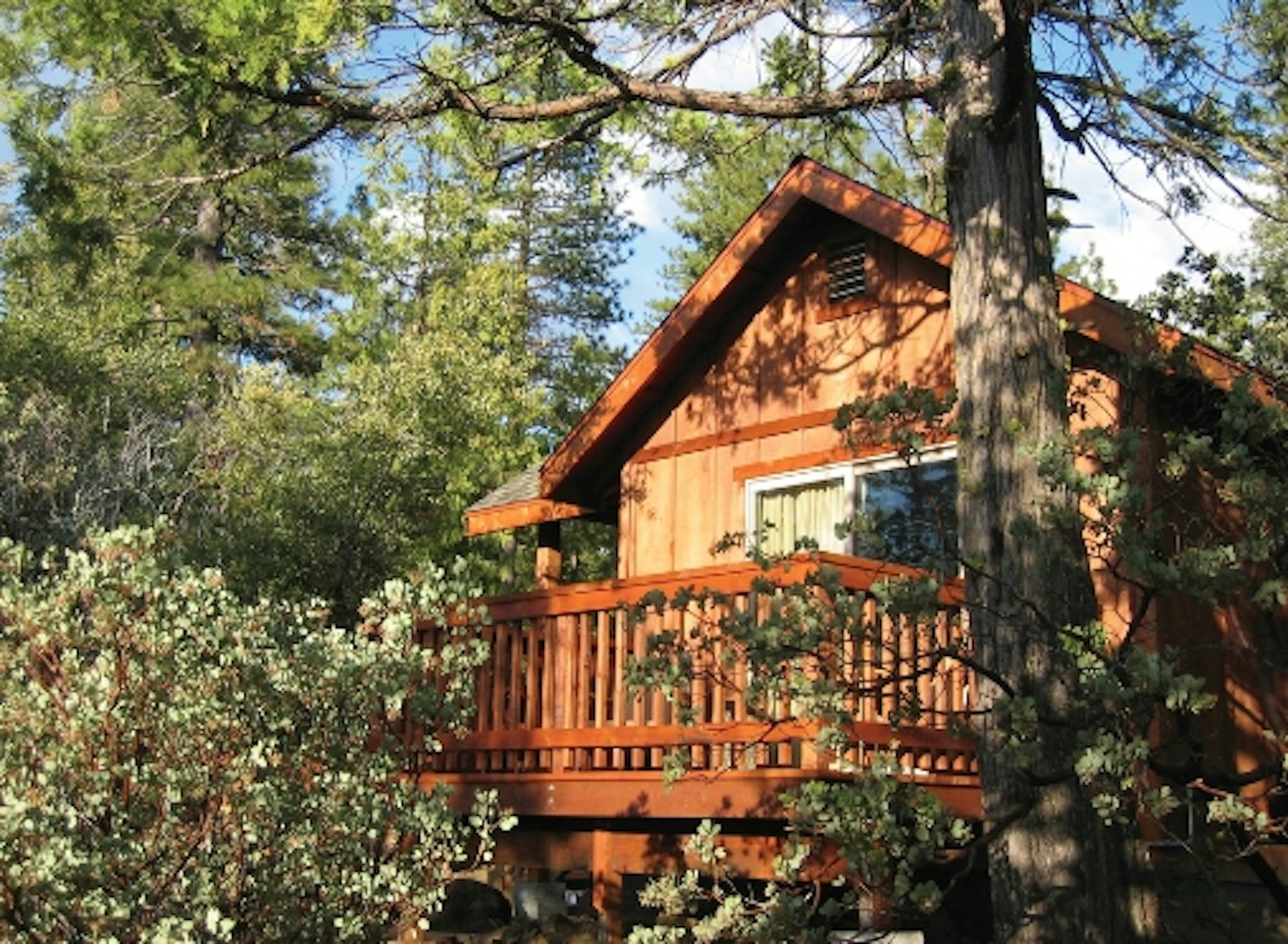 Evergreen Lodge At Yosemite 2/46
