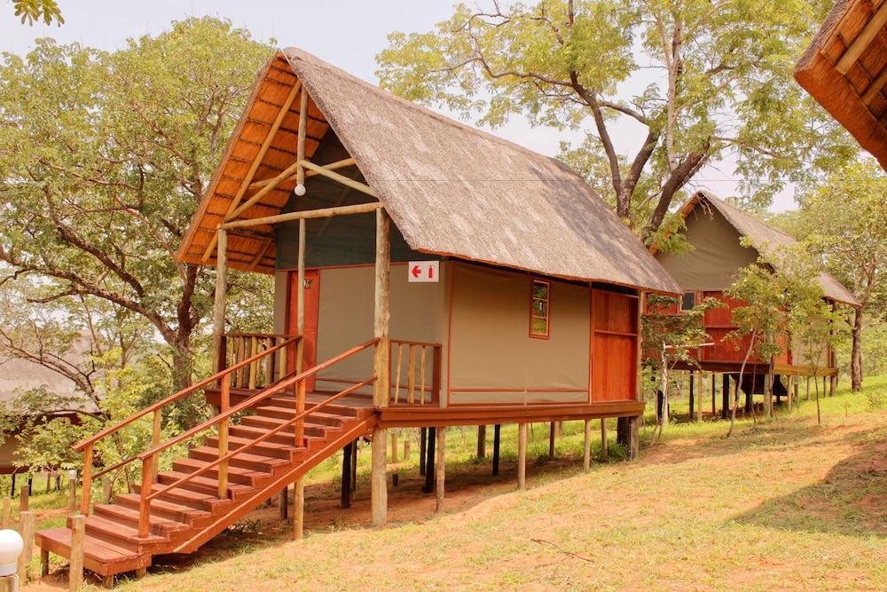 Lion Roars Lodge 4/46