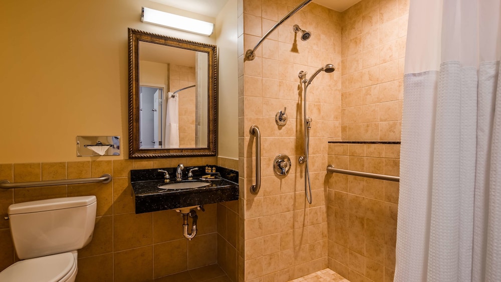 Best Western Plus Vineyard Inn & Suites 49/51