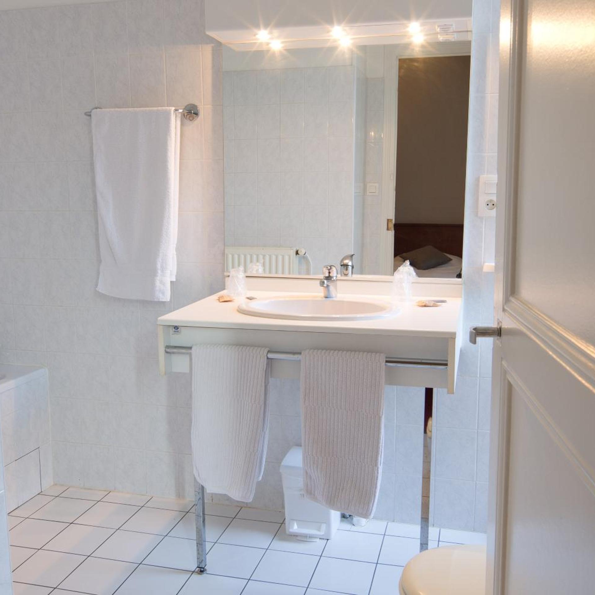 غرفة بسريرين منفصلين، COMFORT HOTEL ACTUEL CHAMBERY CENTRE 9/10