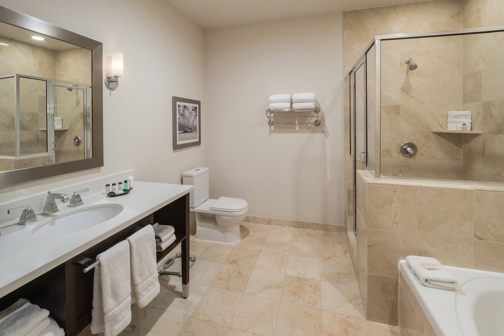 Sheraton Salt Lake City Hotel 13/45