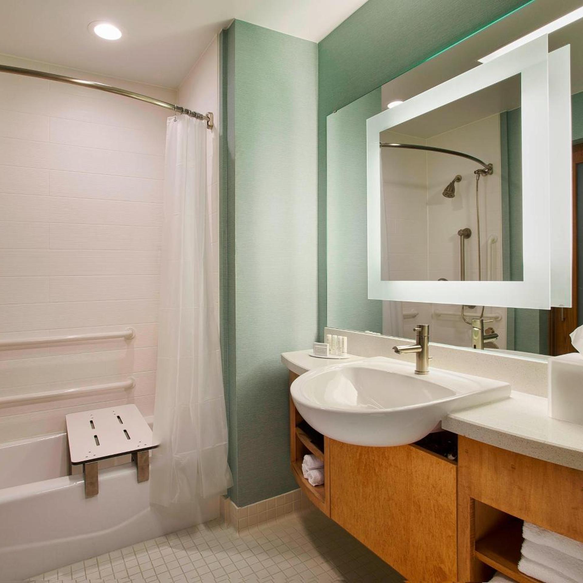 استوديو كبير بسرير كوين، Springhill Suites Houston Downtown/Convention Center 3/3