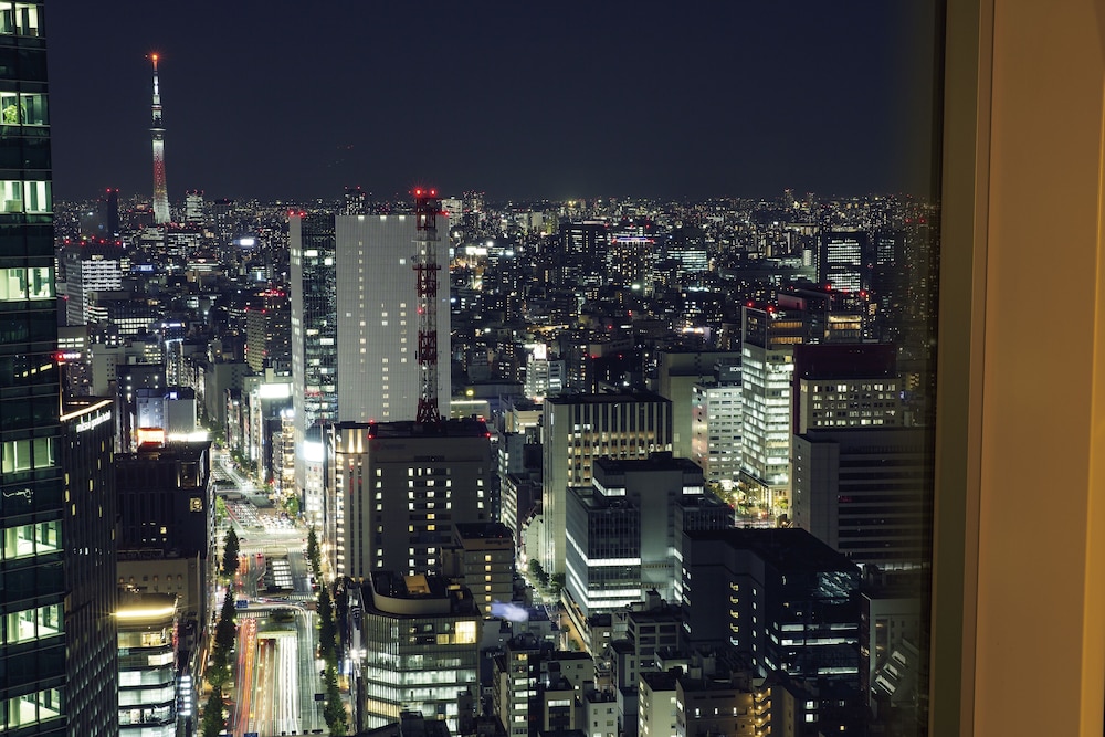 The Royal Park Hotel Iconic Tokyo Shiodome 5/73