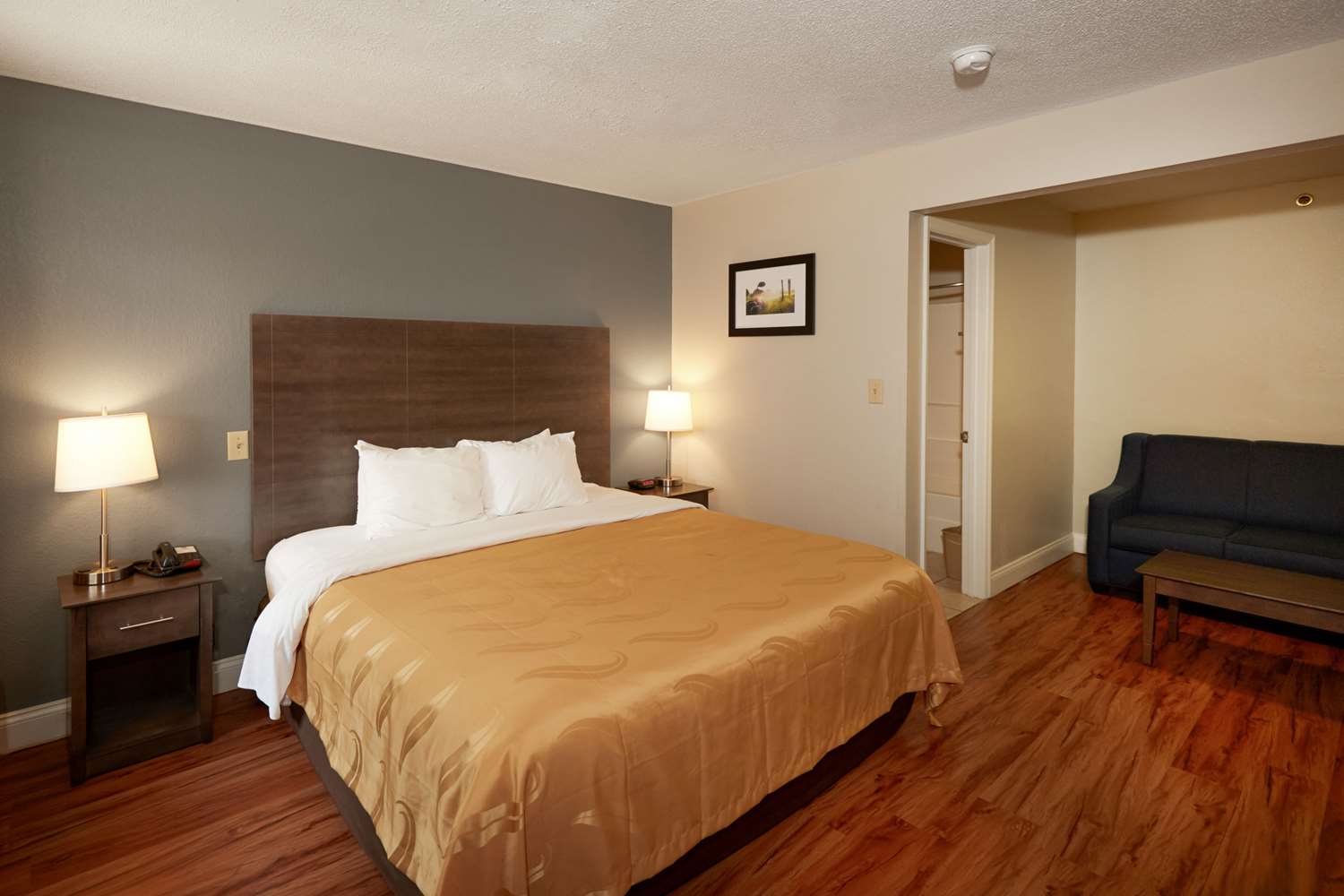 Upgrade, Suite, King Bed, Quality Inn Augusta West Near Fort Gordon 2/3