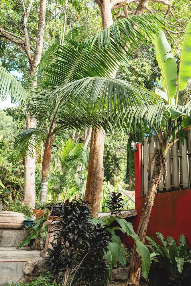 Baan Ton Rak Boutique Resort 60/66