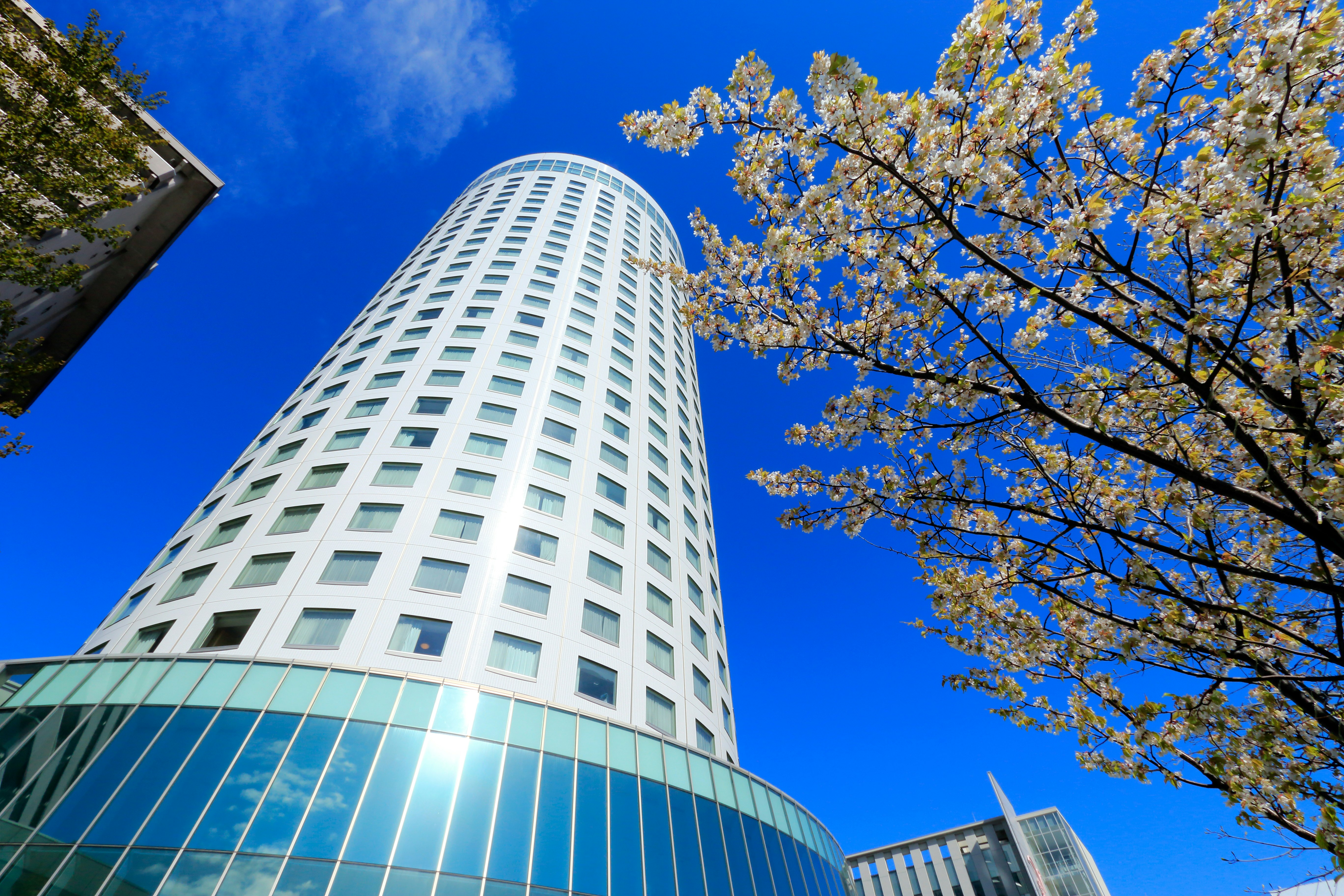 Sapporo Prince Hotel 6/75