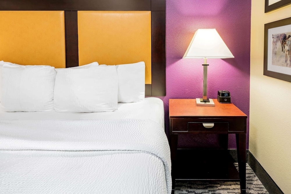 La Quinta Inn & Suites by Wyndham DFW Airport West - Bedford 18/41