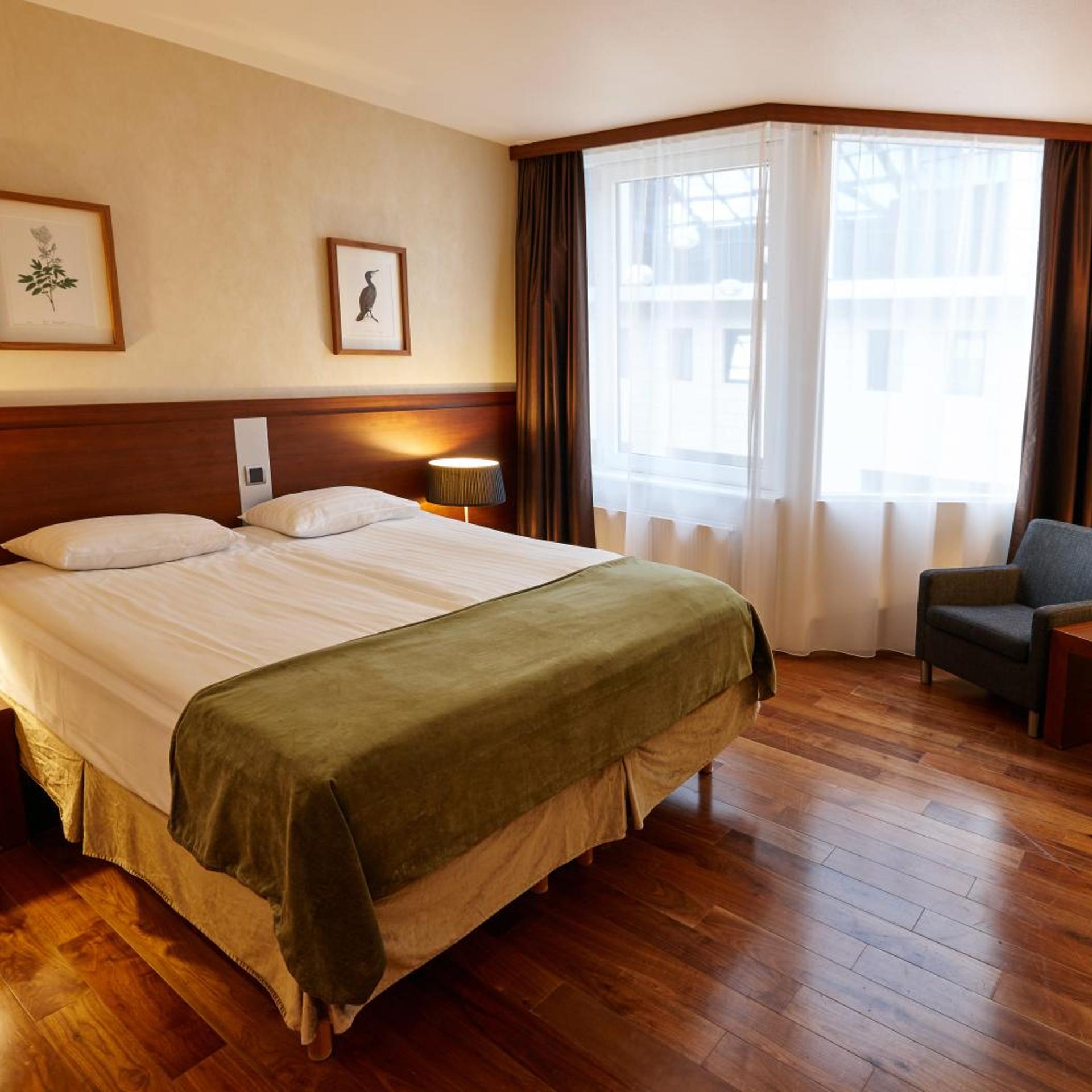Room, Single Bed, Atrium View