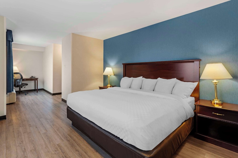 1 king bed, nonsmoking