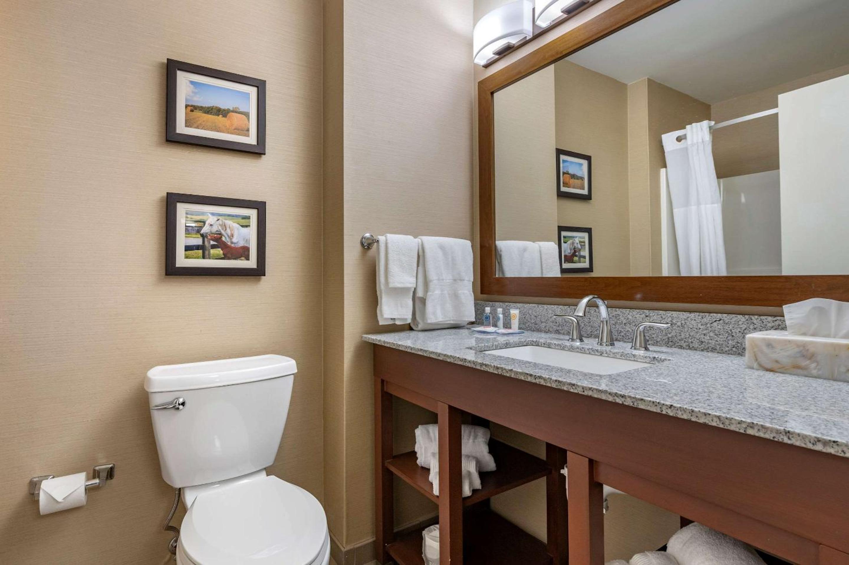 جناح بسرير كينج مع أريكة، Comfort Inn & Suites Northern Kentucky 4/5