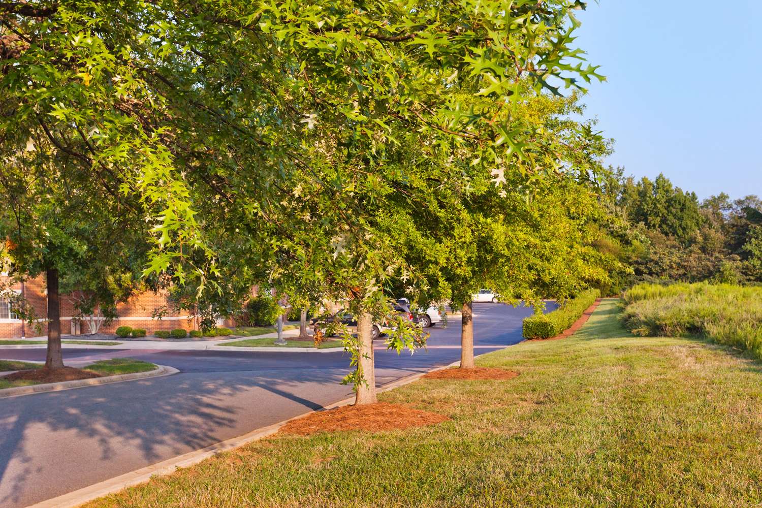 Sonesta Simply Suites Charlotte University 28/28