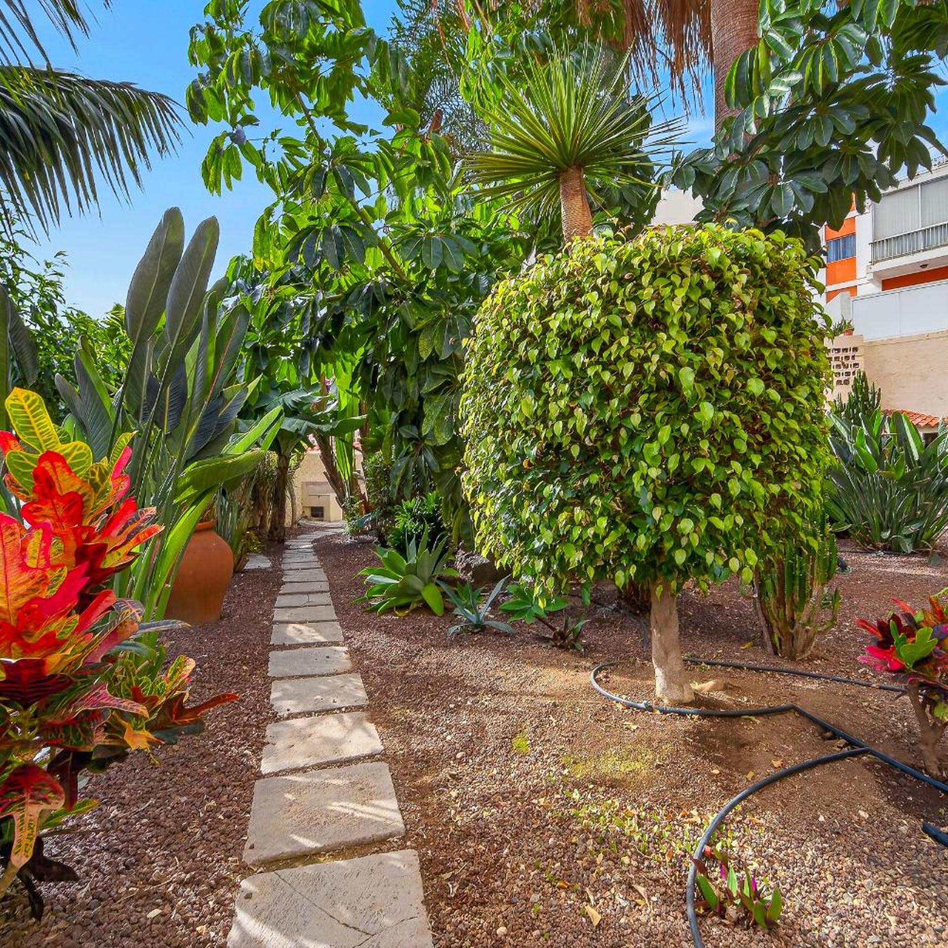 Hapimag Resort Tenerife 43/49