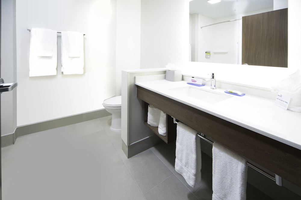 Holiday Inn Express & Suites Fort Myers Airport 20/54