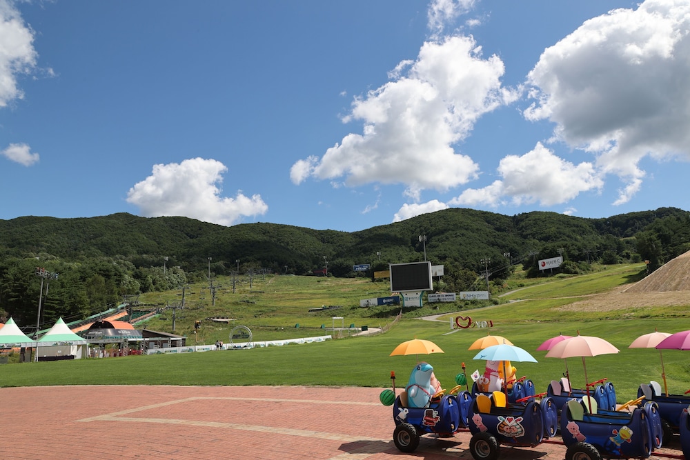 Welli Hilli Park 27/49