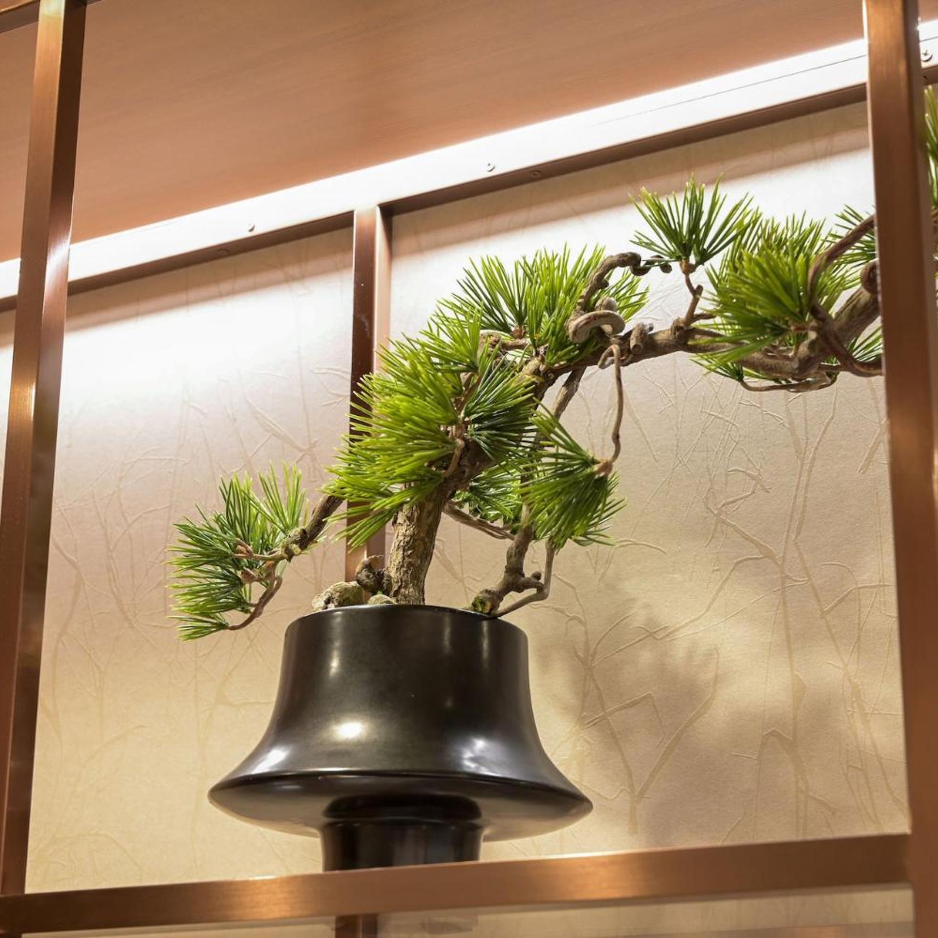 HOTEL MINATO Shinjuku 34/50