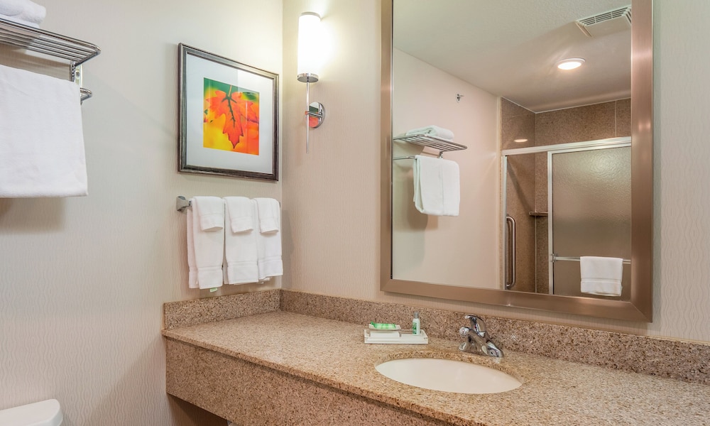 Holiday Inn Stevens Point Convention Ctr 71/72