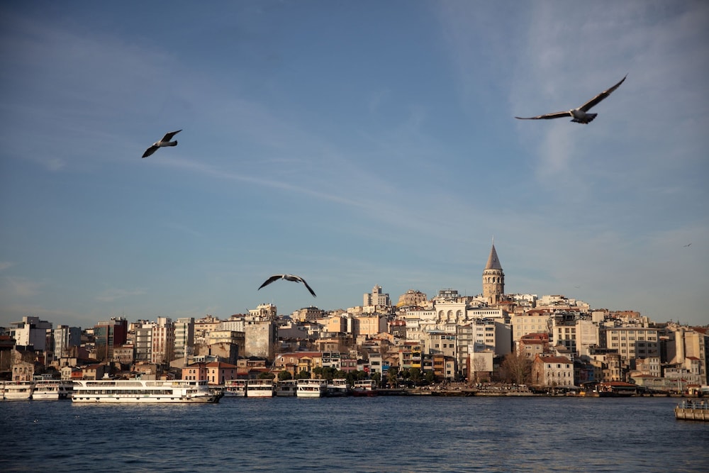 Sanasaryan Han a Luxury Collection Hotel Istanbul 44/50