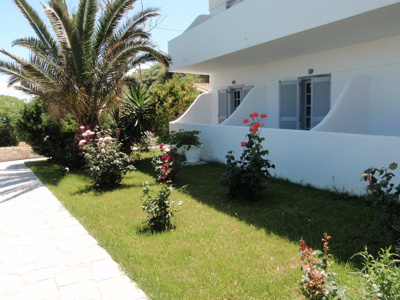 WHITE SUITES 37/39