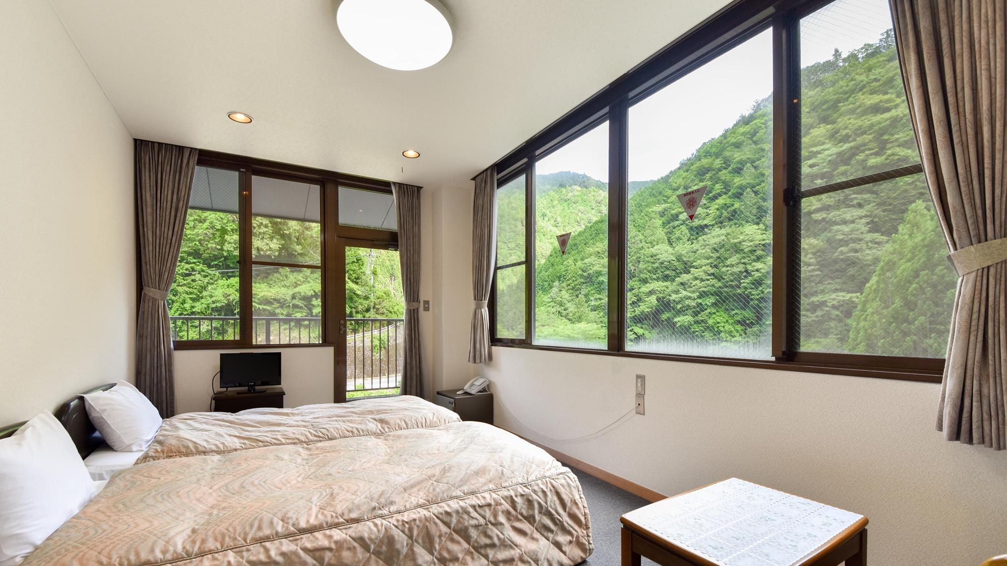 Standard, Twin Beds, Mountain View, Unit Bath