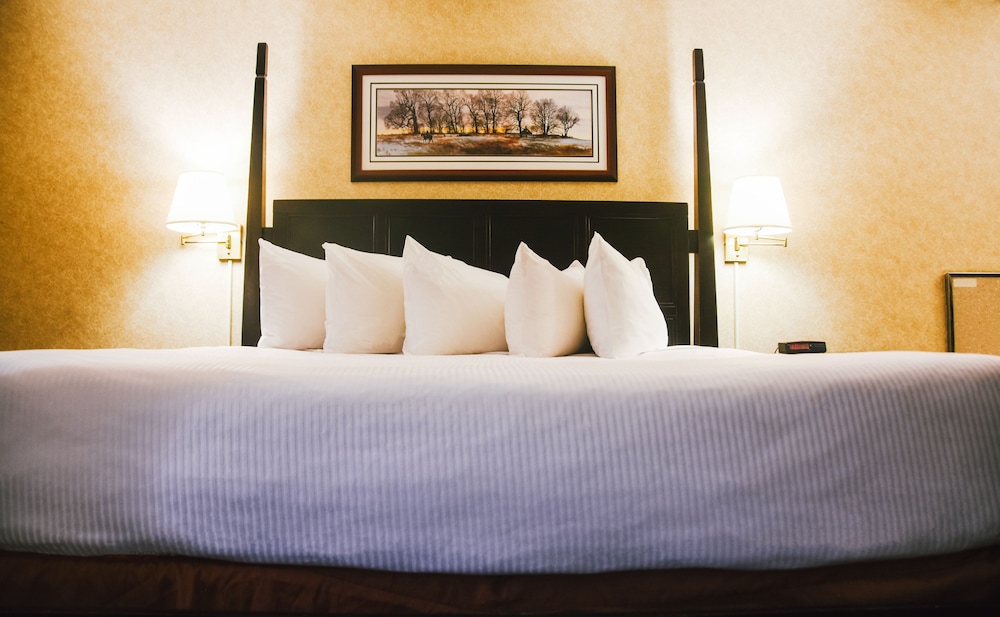 Stony Plain Inn & Suites 20/44