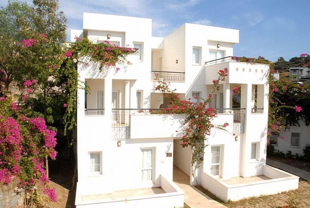 Club Pedalisa 25/29