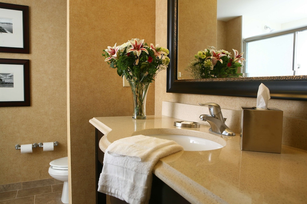Hampton Inn Atlanta-Canton 29/50