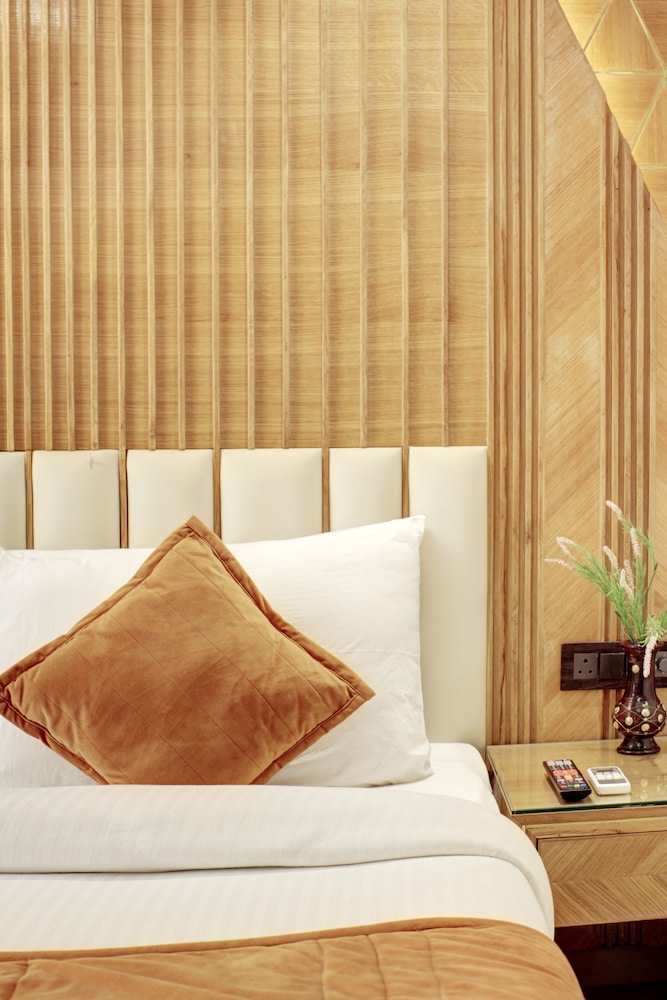 Hotel Krishna Plaza 29/43