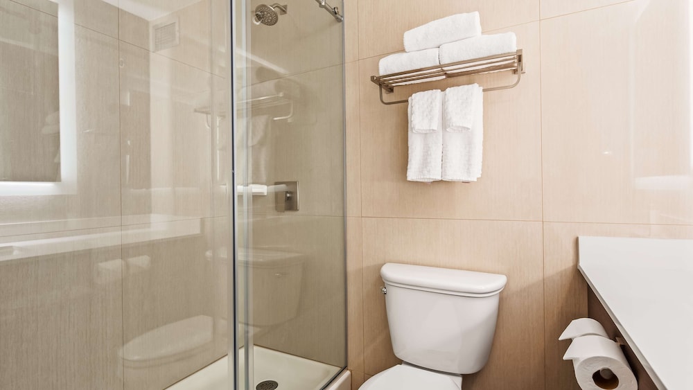 Best Western Plus Sparks-Reno Hotel 13/47