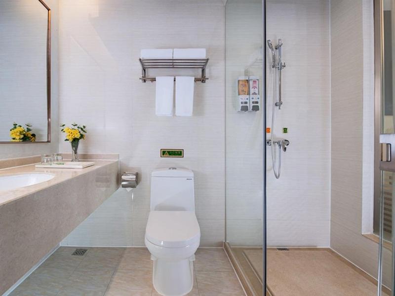 Vienna Hotel (Shenzhen Huaqiang North) 44/44