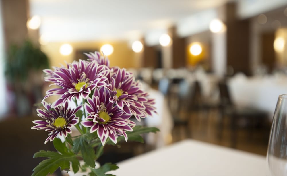 Hotel Calissano 22/50