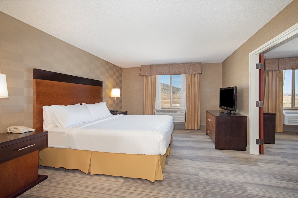 Holiday Inn Express Hotel And Suites Denver Sw Littleton 14/44