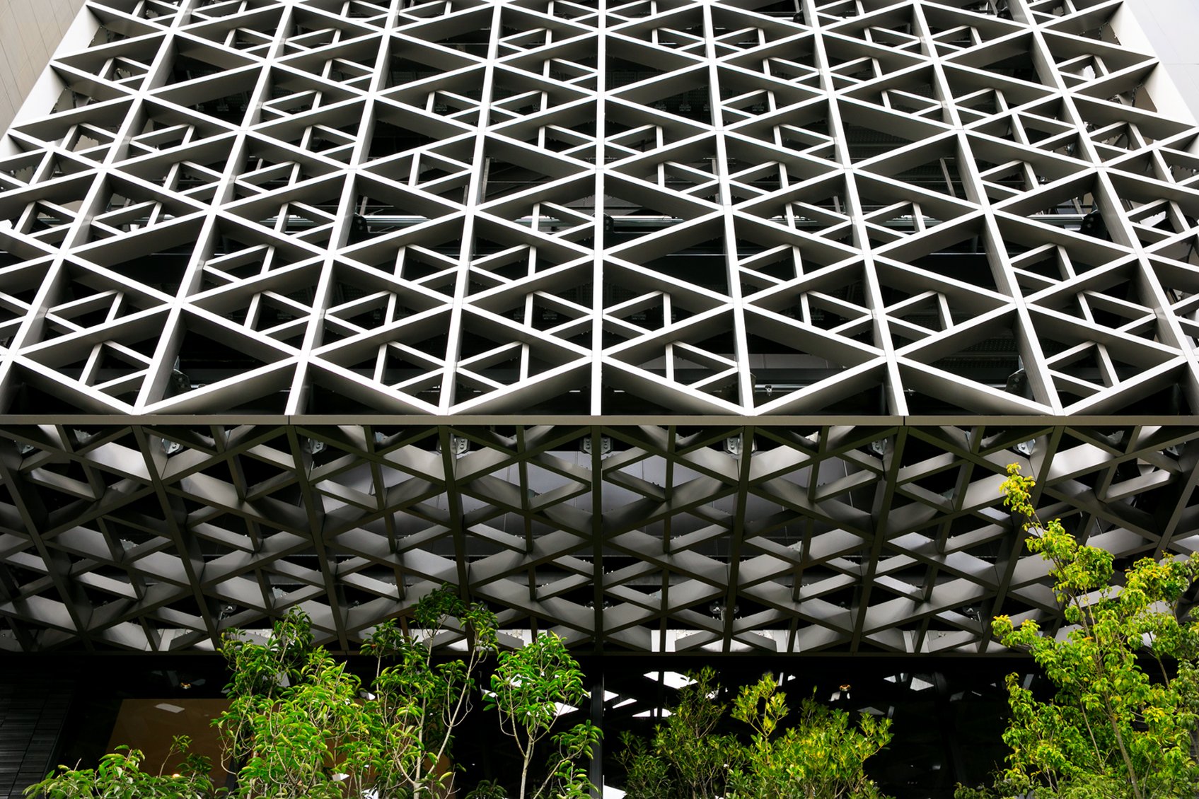Hotel JAL City Fukuoka Tenjin 3/50