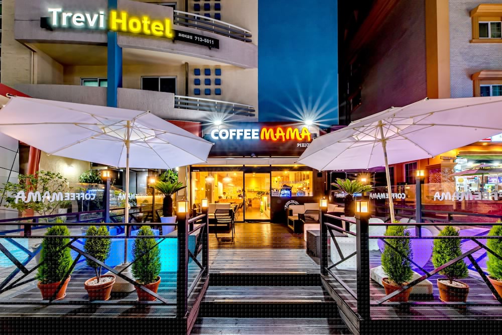 Trevi Hotel 39/46