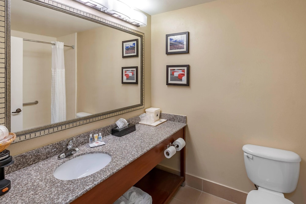 Comfort Inn and Suites Lincoln AL 59/61