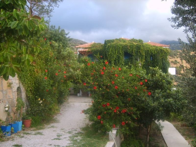 Villa Jota 33/50