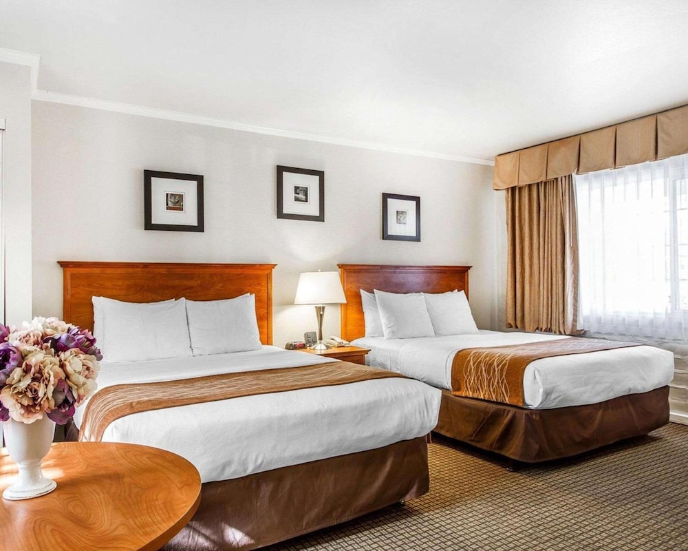The Inn At 1252 Monterey 20/33