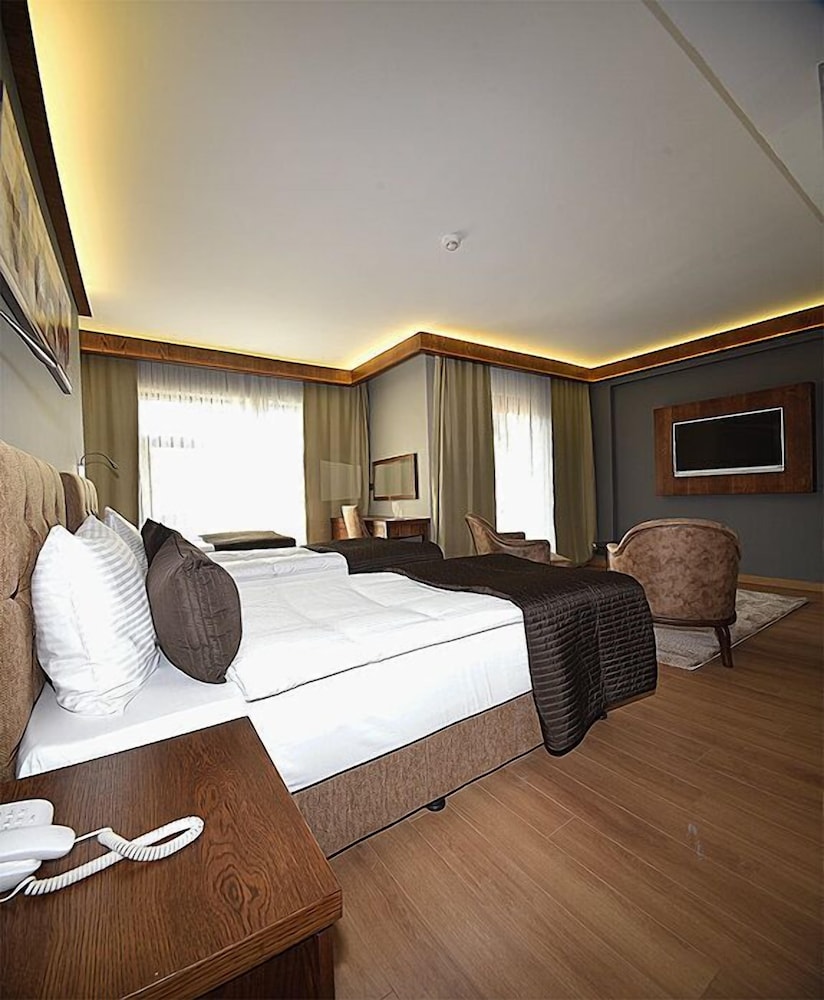 The Elegant Hotel 18/50