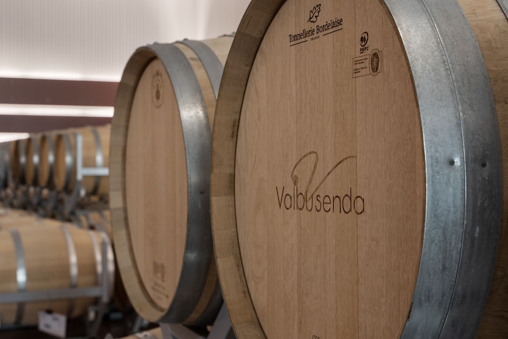 Valbusenda Hotel Bodega and Spa 26/68
