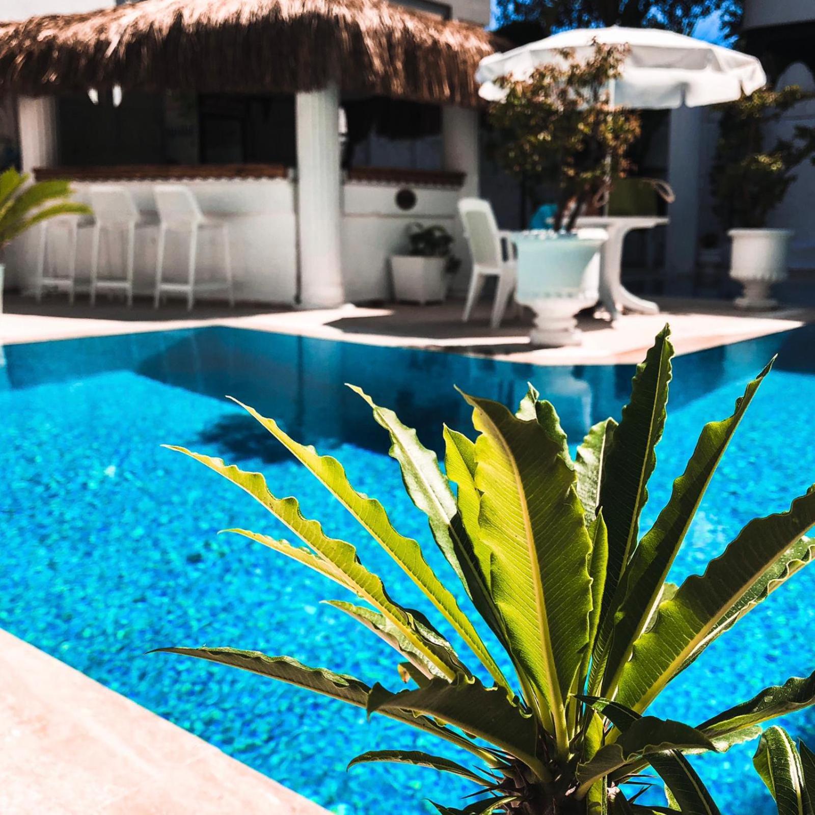 Connys Boutique Hotel - Adults Only 6/66