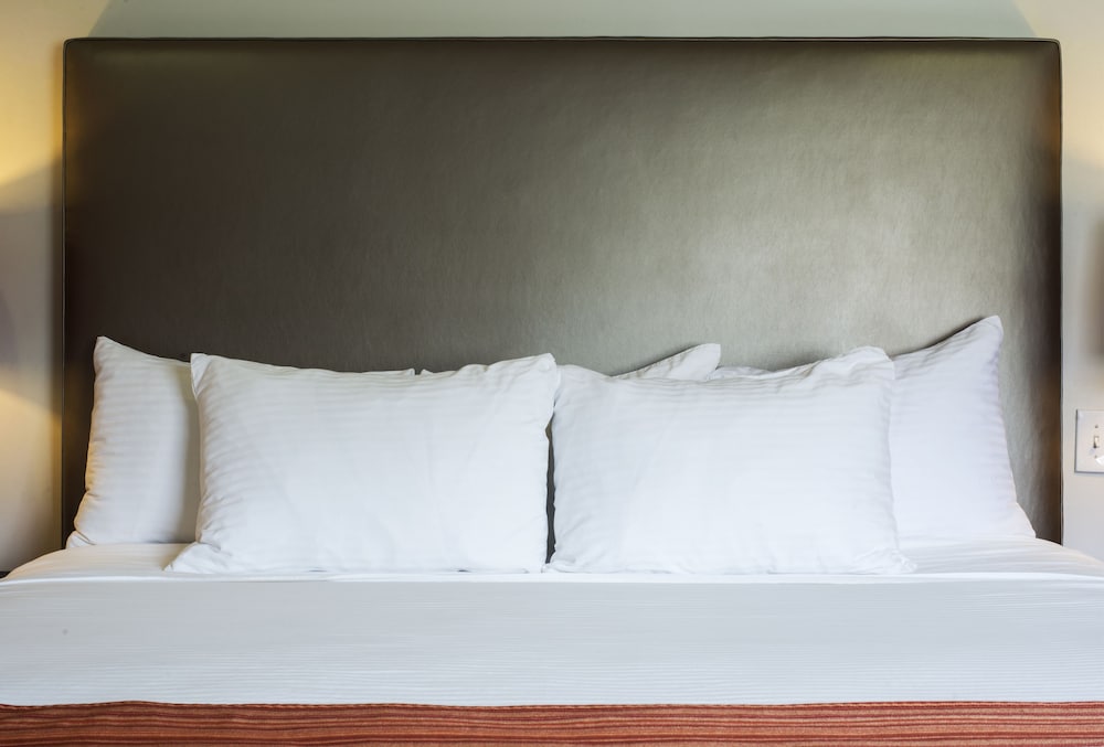 Shelter Hotel Los Angeles 27/62