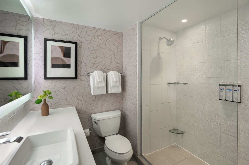 جناح بسرير كينج بغرفة نوم واحدة مع أريكة بمطبخ صغير، Hyatt Washington DC / Convention Center 4/5