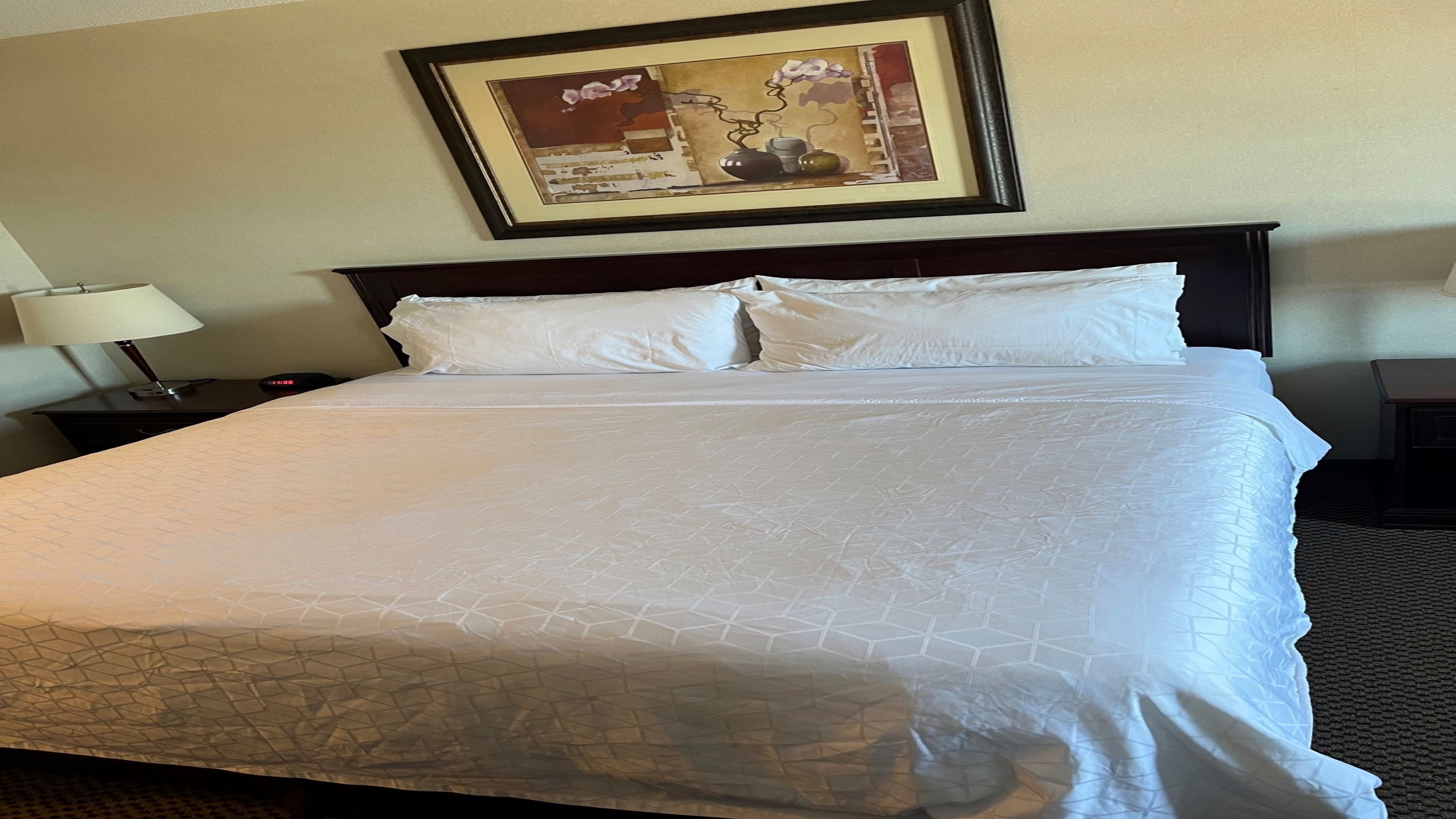 Holiday Inn Hotel Suites Lloydminster 27/65