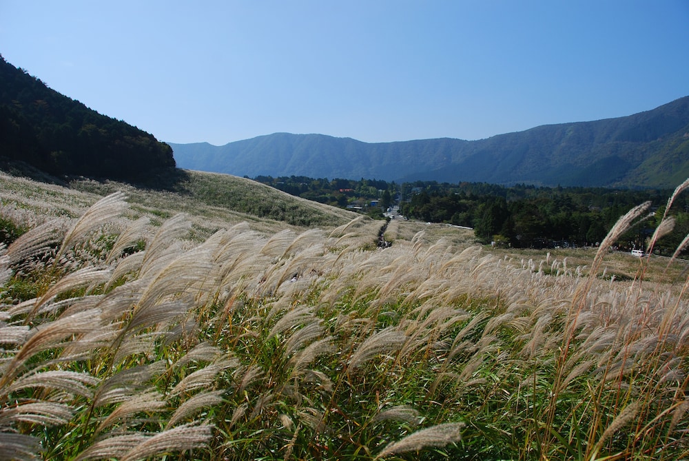 Hyatt Regency Hakone Resort and Spa 72/76